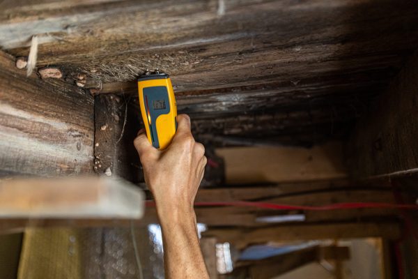 An environmental home inspector is viewed close-up at work, using an electronic moisture meter to detect signs of damp and rot in wooden structural elements.